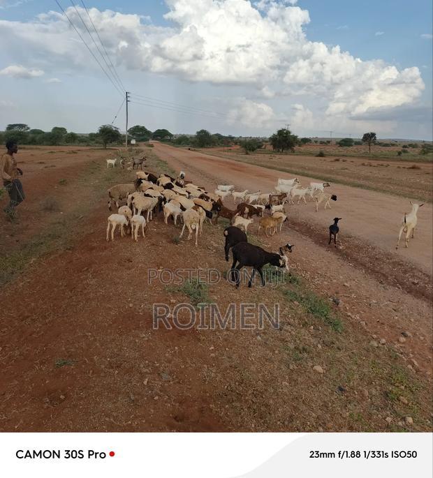 21 Acres of Land in Risa Area.