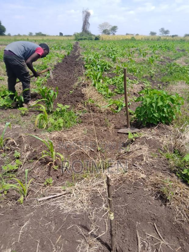 2 Acres With a Borehole.