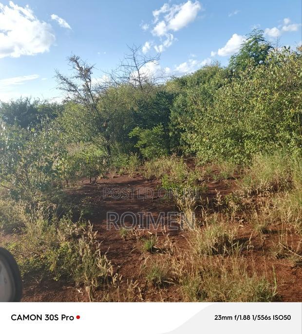 13 Ekali Entarara Kwa 500,000 Kila Eka