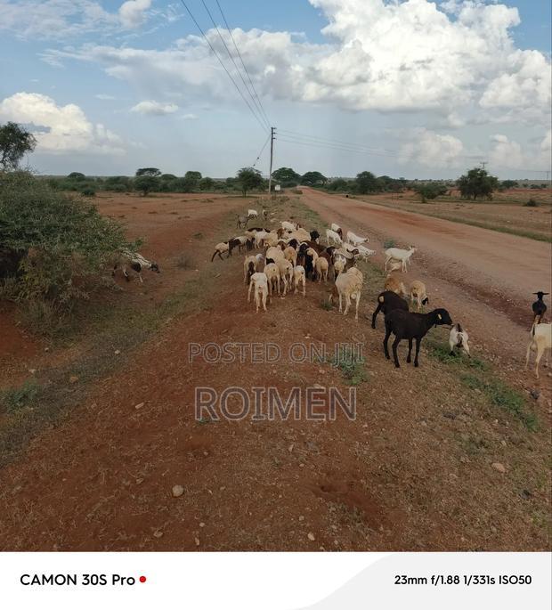21 Acres of Land in Risa Area.