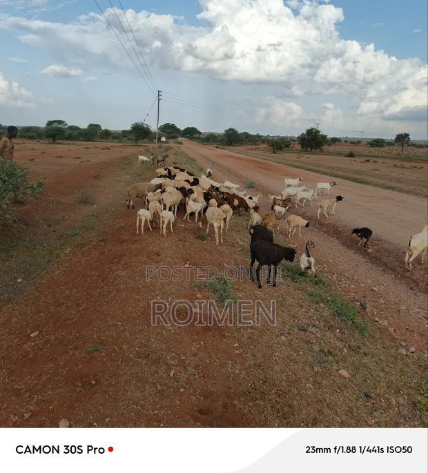 21 Acres of Land in Risa Area.