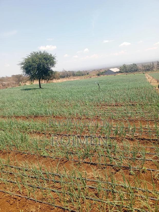 6 Acres,5 Km From the Tarmac
