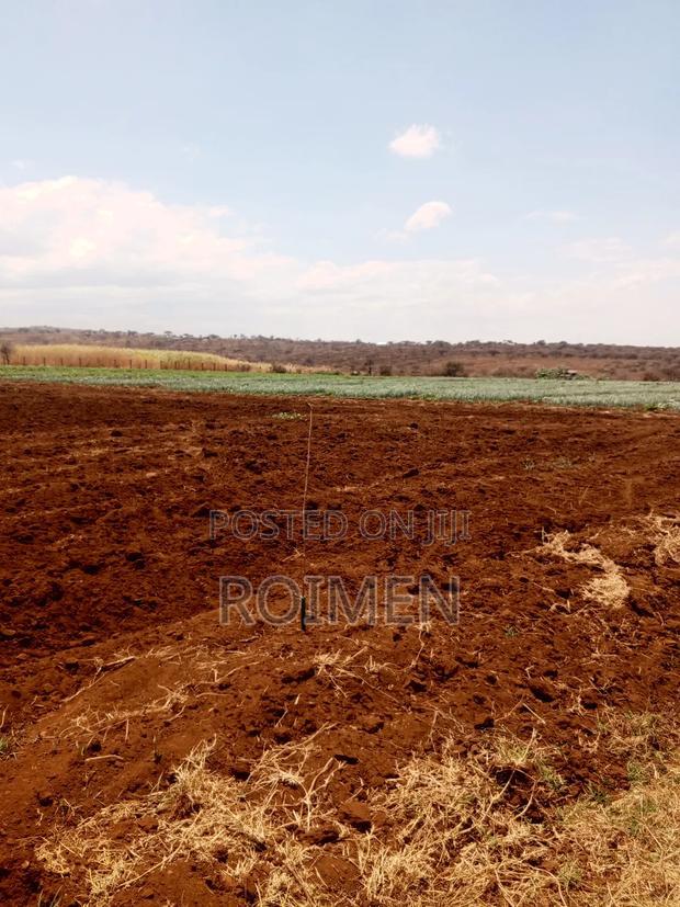 6 Acres,5 Km From the Tarmac