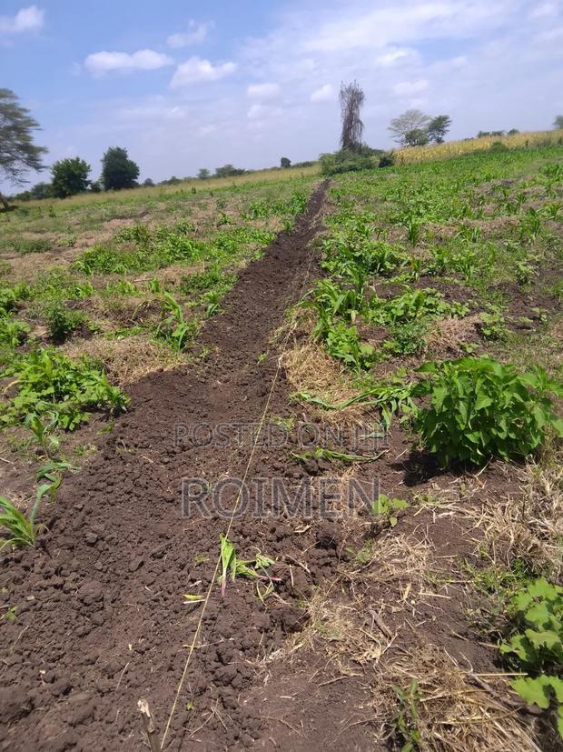 2 Acres With a Borehole.