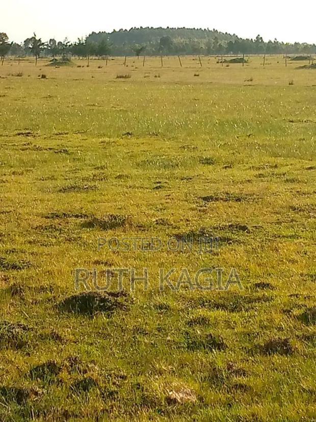A Large Track of Land for Sale at Nyandarua.