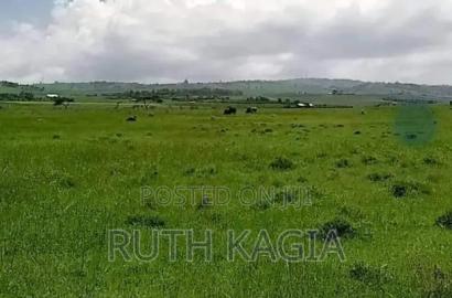 A Sale of 3 Acres of Land.