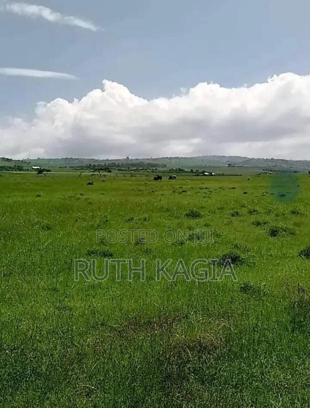 A Sale of 3 Acres of Land.