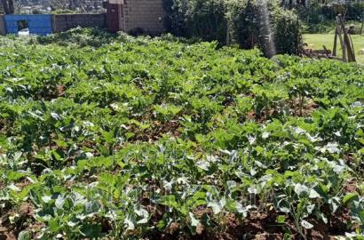 A High Value Land for Sale in the Great Kiambu County.