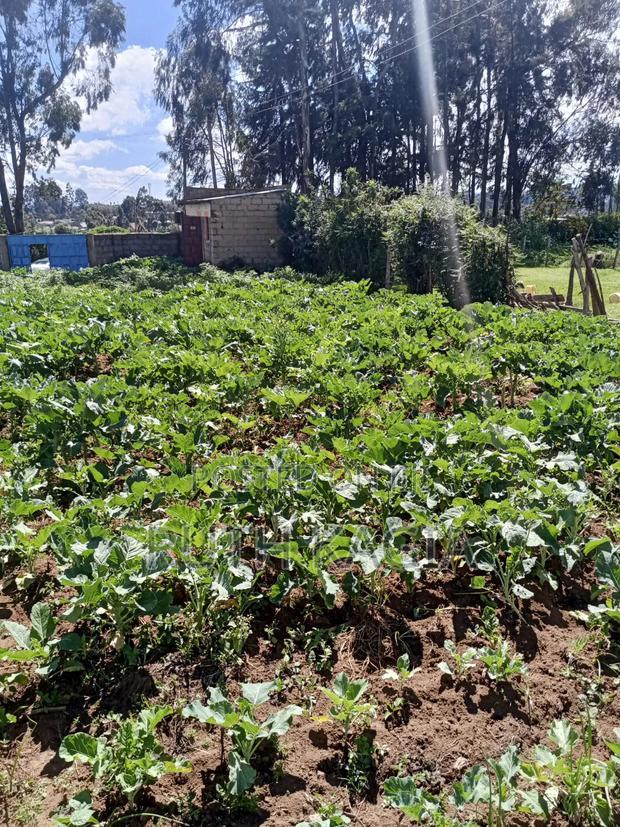 A High Value Land for Sale in the Great Kiambu County.