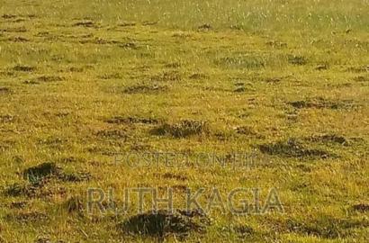 A Large Track of Land for Sale at Nyandarua.