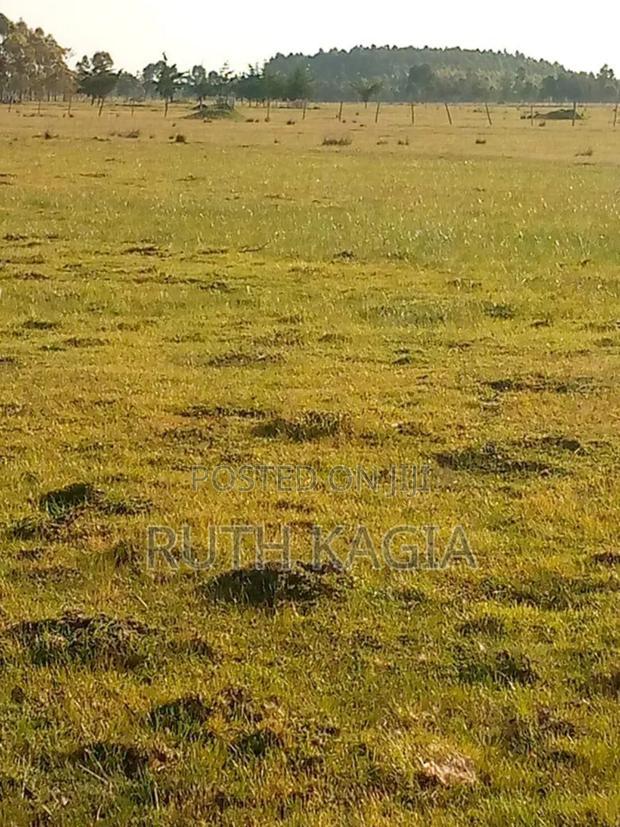 A Large Track of Land for Sale at Nyandarua.