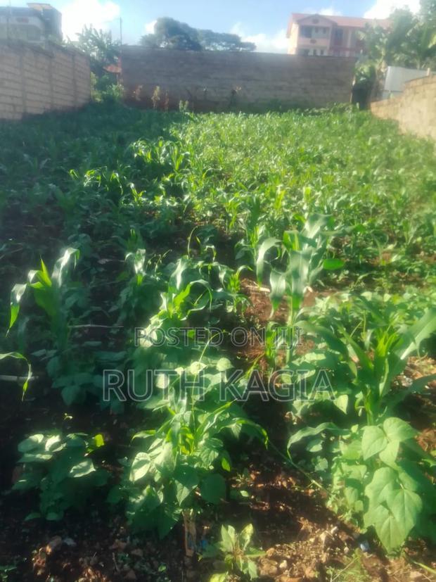 A 50 by 100 Plot for Sale.