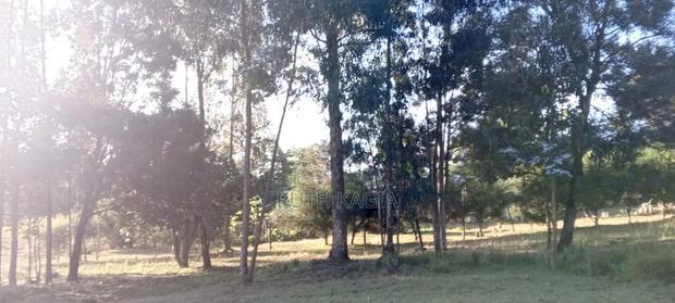 A Very Good Track of Land for Sale.