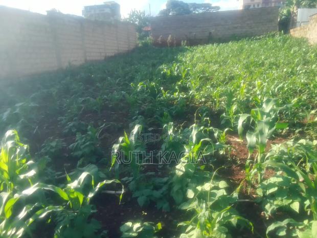A 50 by 100 Plot for Sale.