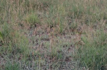 A Very Nice 100 by 100 Plot for Sale Along Mai Mahiu