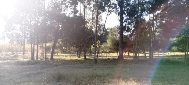 A Very Good Track of Land for Sale.