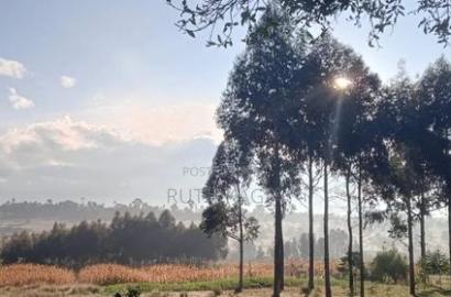 A Very Good Track of Land for Sale.