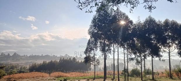 A Very Good Track of Land for Sale.