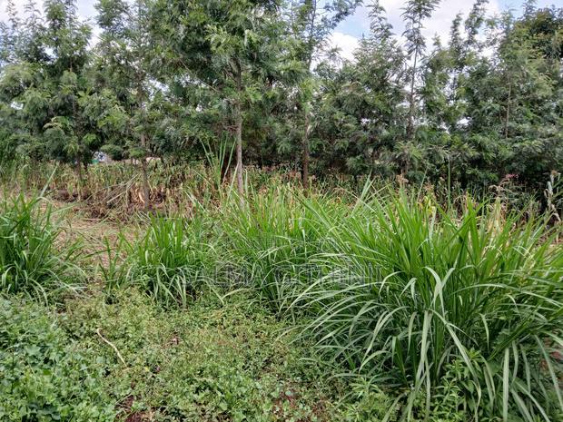 100 By100ft Residential Plot for Sale in Kikuyu, Muguga