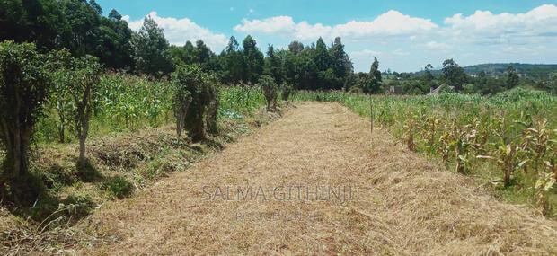 Prime 50 by 100 Ft Residential Plots in Kikuyu,Gikambura