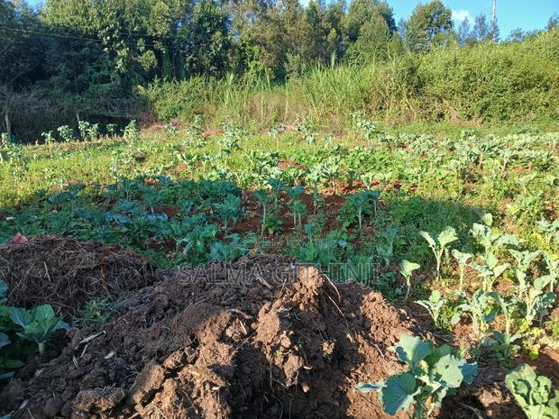 Affordable Residential Plot for Sale in Kikuyu,Migumo -Ini