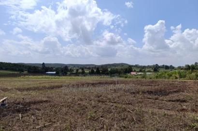 Prime 50 by 100ft Plots for Sale in Kikuyu,Ndiguini Area