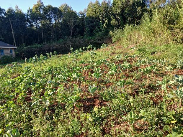 Affordable Residential Plot for Sale in Kikuyu,Migumo -Ini
