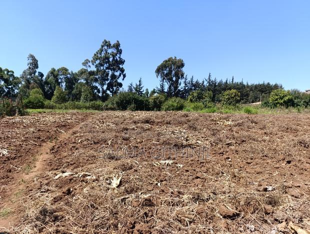 Plot for Sale in Kikuyu, Ng'Amba Area