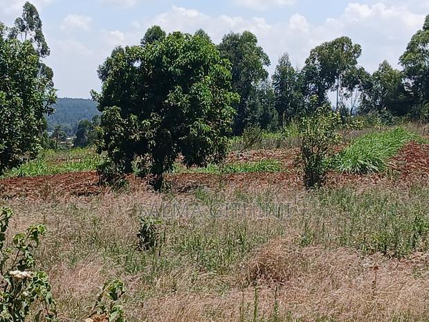 50 by 100ft Residential Plot for Sale Inkikuyu,Gikambura