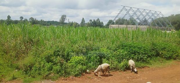 80 by 100 Ft Plot for Sale in Kikuyu,Thigio Area