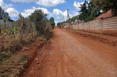 Prime 40by 80 Ft Plot for Sale in Kikuyu,Gikambura