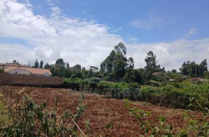 50 by 100 Residential Plot for Sale in Kikuyu,Gikambura