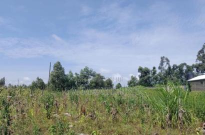 Prime 50 by 100 Residential Plot for Sale in Kikuyu, Ngamba