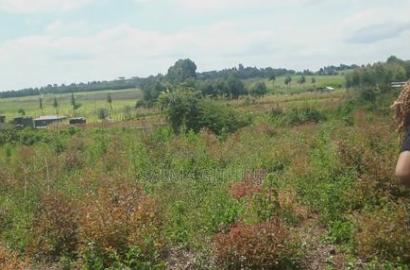 Prime 50 by 100ft Plots for Sale in Kikuyu, Karai