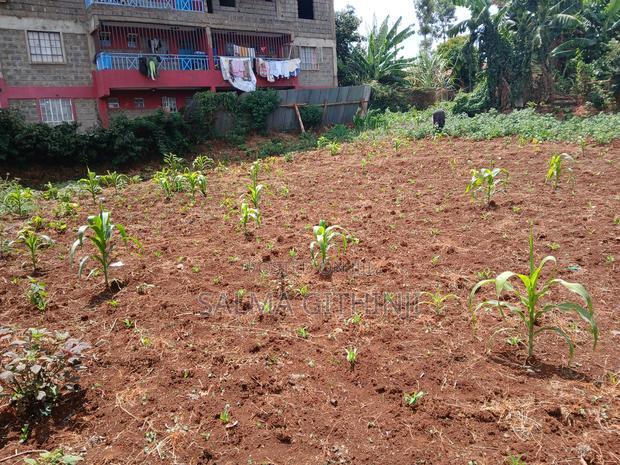 50 by 100 Commercial Plot for Sale in Kikuyu,Kinoo