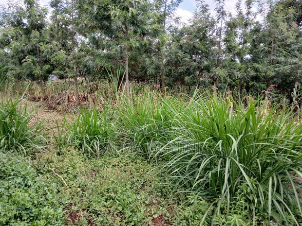 100 By100ft Residential Plot for Sale in Kikuyu, Muguga