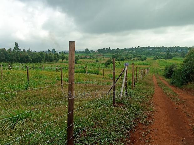 Residential 50 X 100ft Plot for Sale in Kamangu Ng'Amba Area