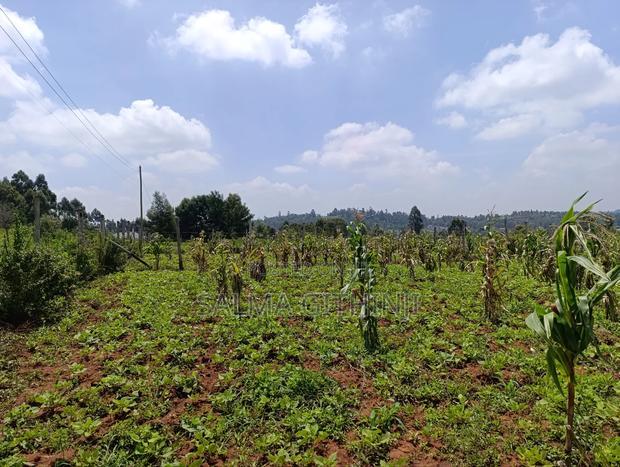 Prime Residential Plot for Sale - Kikuyu-Lusigetti