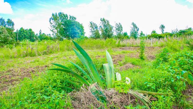 Prime 70 by 100 Ft Plot for Sale in Kikuyu, Gikambura