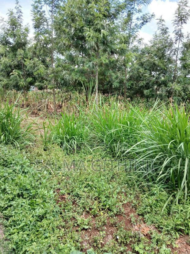 100 By100ft Residential Plot for Sale in Kikuyu, Muguga