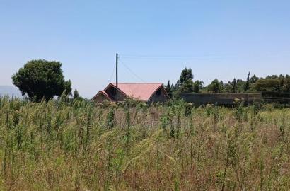 Prime by 100 by 100ft Plot for Sale in Kikuyu,Kamangu