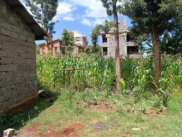 Prime Plot for Sale in Ruaka, Muchatha (With Income)