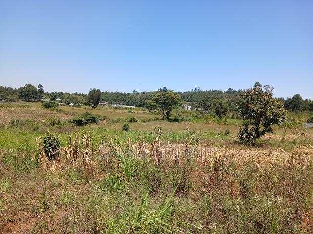 Prime 50 by 100ft Plots for Sale in Kikuyu,Rose Gate