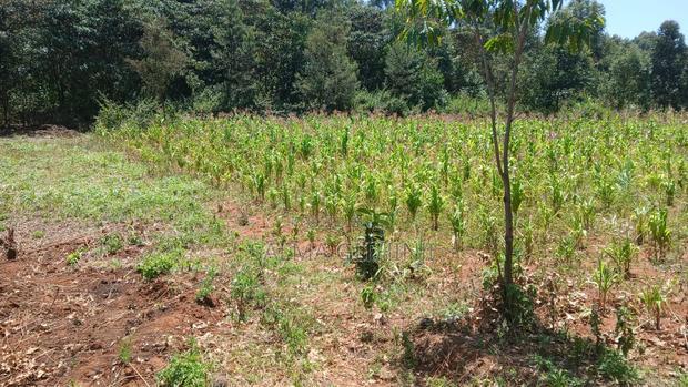 Residential 50 by 100ft Plot for Sale in Kikuyu,Ondiri