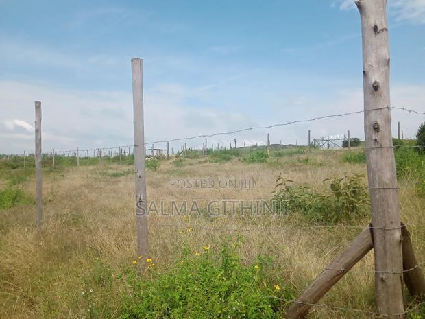 Affordable 100 by 100 Plot for Sale in Kikuyu, Ndiuni