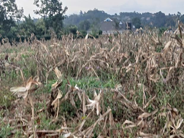 Prime 100 by 100ft Plot for Sale in Kikuyu,Gikambura