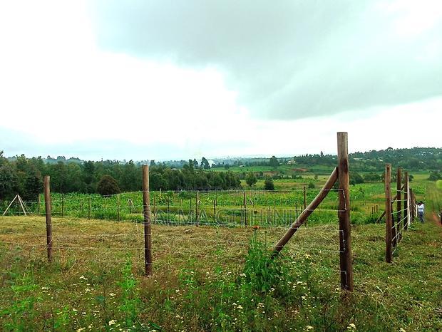 Residential 50 X 100ft Plot for Sale in Kamangu Ng'Amba Area