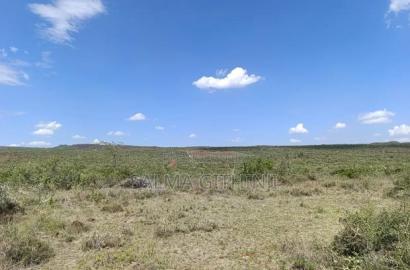 Plots For Sale In Kikuyu Nachu, Mikuyuini
