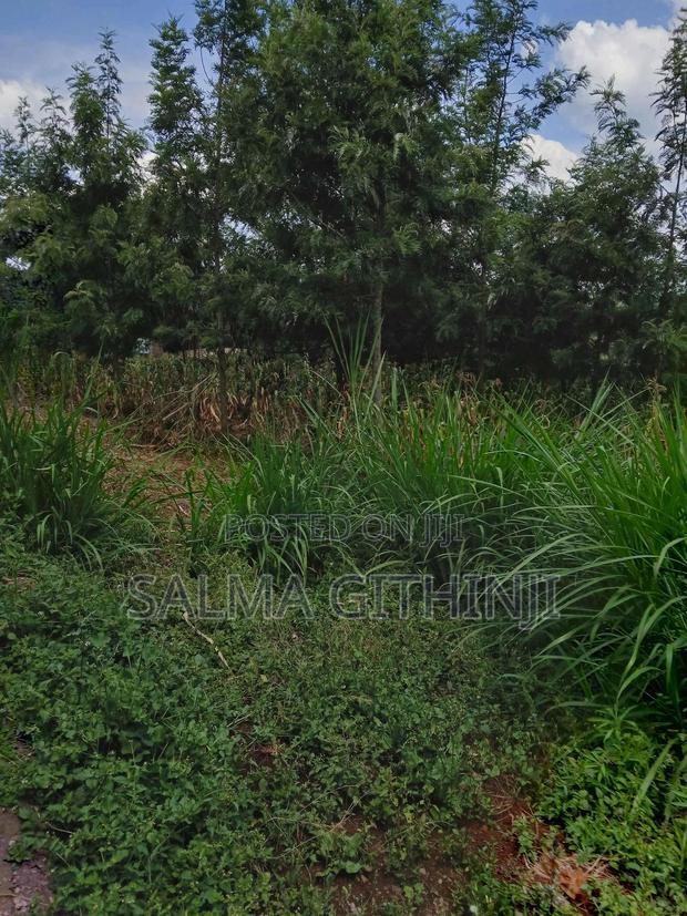 100 By100ft Residential Plot for Sale in Kikuyu, Muguga