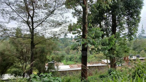 Prime40 by 60ft Plot for Sale in Kikuyu,Gitaru